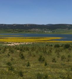 Dodurga Barajı Kamp Alanı