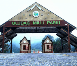 Uludağ Milli Parkı Kamp Alanı