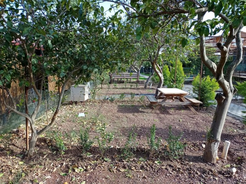 Adrasan Kamp Alanları ve Karavan Alanları 7